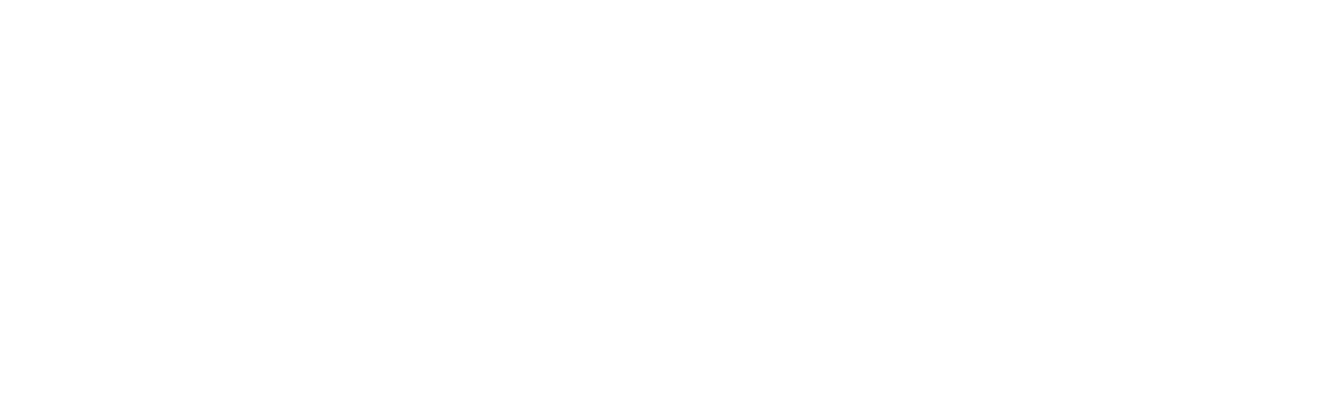 Footer Line